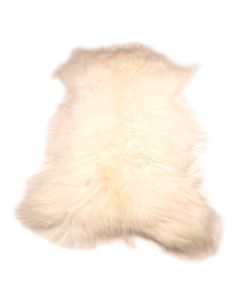 NK Lammastalja valkoinen pitkäkarvainen (Island)